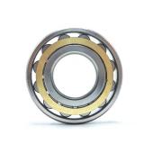 FAG 63002RSR Rubber Sealed Deep Groove Ball Bearing 10x35x11mm